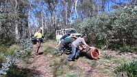15-Convoy helps the Ranger to move a fallen tree off the Tingaringy Track